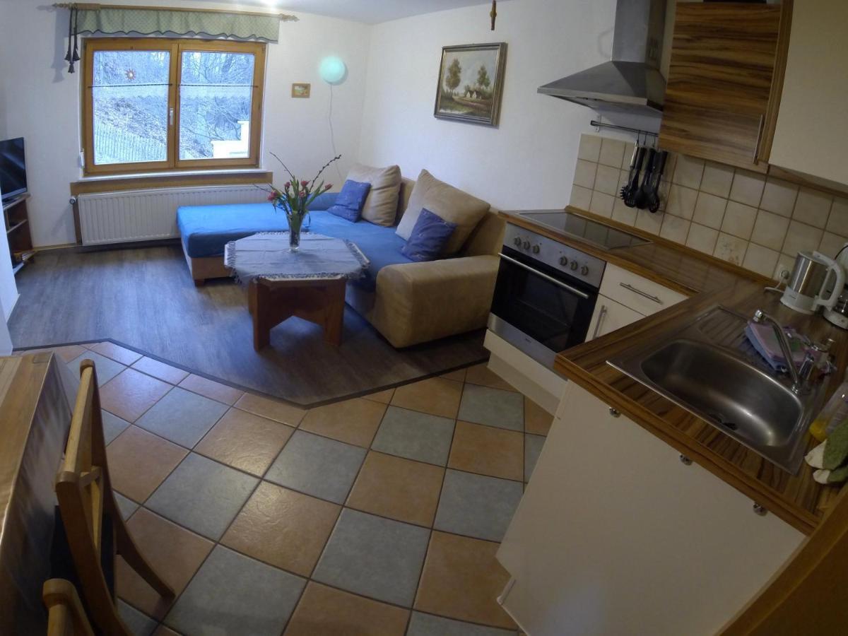 Berghof Appartement Zeulenroda-Triebes Kamer foto