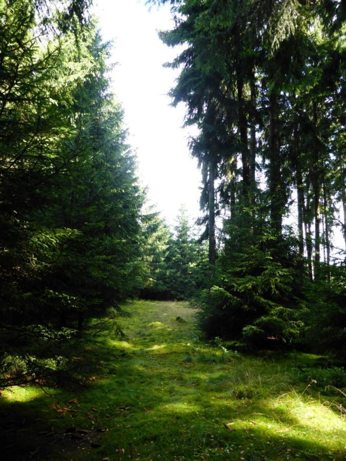 Berghof Appartement Zeulenroda-Triebes Buitenkant foto