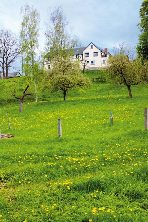 Berghof Appartement Zeulenroda-Triebes Buitenkant foto