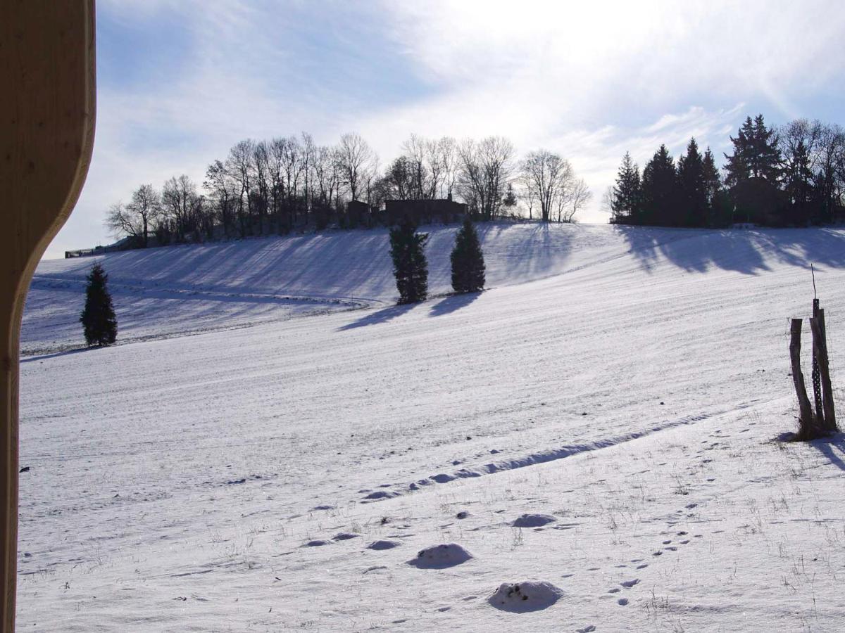Berghof Appartement Zeulenroda-Triebes Buitenkant foto